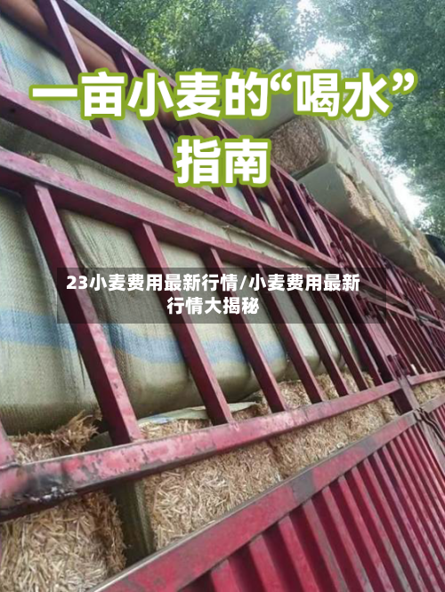 23小麦费用最新行情/小麦费用最新行情大揭秘-第2张图片