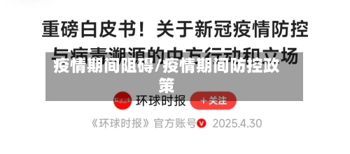 疫情期间阻碍/疫情期间防控政策-第2张图片
