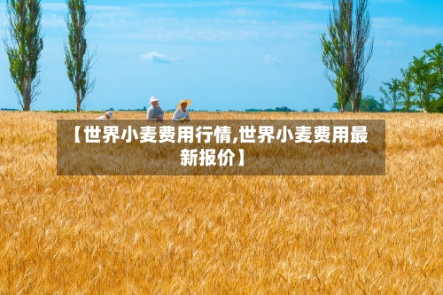 【世界小麦费用行情,世界小麦费用最新报价】