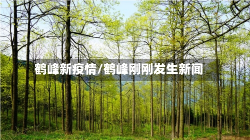 鹤峰新疫情/鹤峰刚刚发生新闻