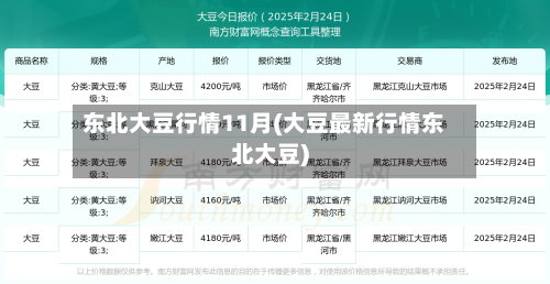 东北大豆行情11月(大豆最新行情东北大豆)