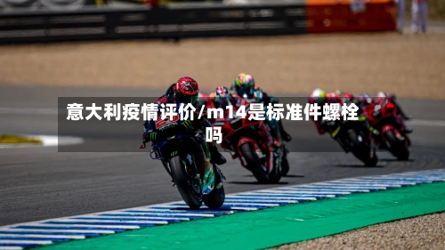 意大利疫情评价/m14是标准件螺栓吗