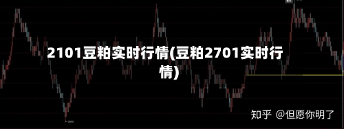 2101豆粕实时行情(豆粕2701实时行情)-第2张图片