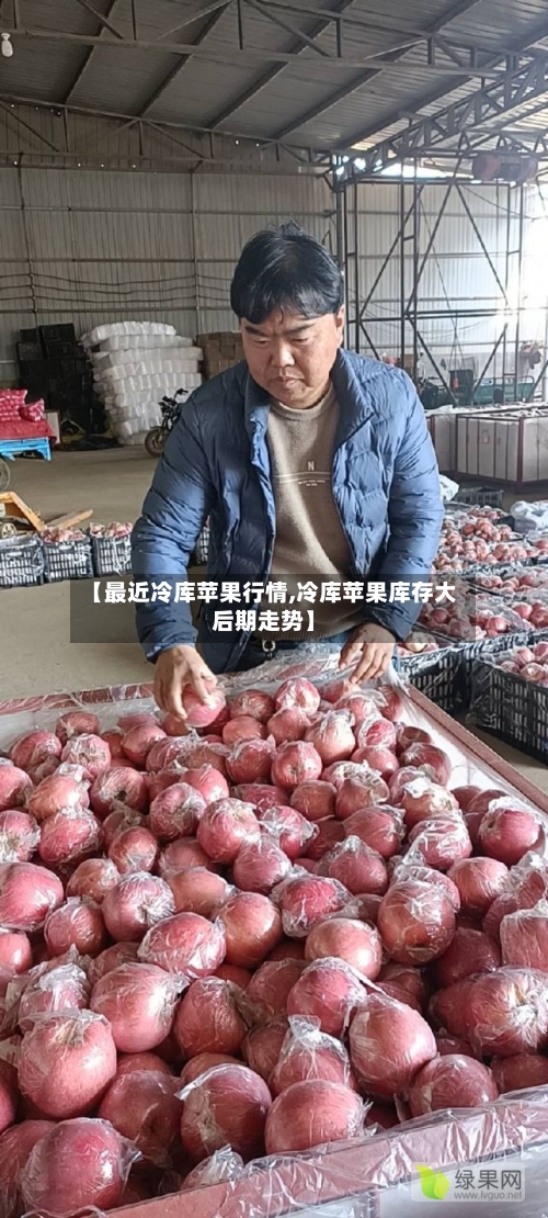 【最近冷库苹果行情,冷库苹果库存大后期走势】-第2张图片