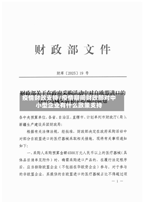 疫情财政支持/疫情期间财政部对中小型企业有什么政策支持