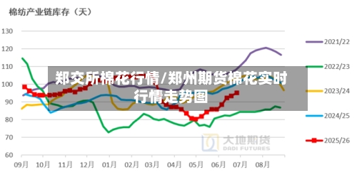 郑交所棉花行情/郑州期货棉花实时行情走势图